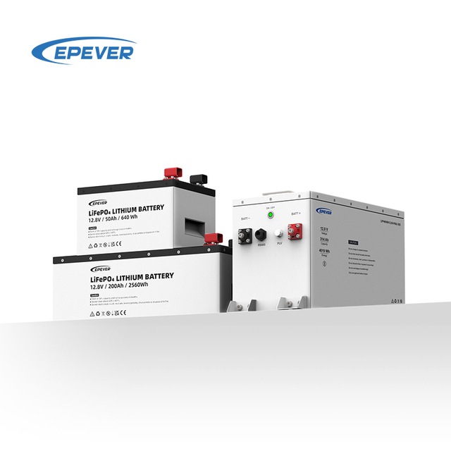 Hot Sales 24V Lithium Ion Batteries 12.8V 25.6V 50Ah 100Ah 150Ah 200Ah 300Ah Energy Storage Battery LifePo4 Battery With BMS