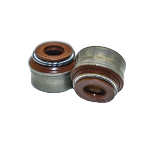 Pabrik asli OEM 12012700 katup segel minyak produk kualitas tinggi dengan harga diskon - Product Image 1