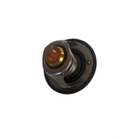 DANGYI Nouveau Thermostat OEM 5256423 pour Systèmes Moteur Automobile – Remplacement Haute Précision, Contrôle Stable de la Température, Garantie 6 Mois
