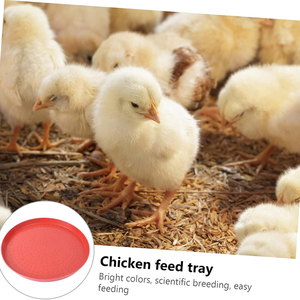 RS-89 Alta Qualidade Fazenda De Aves 30/35/40/50/60cm Rodada De Plástico Frango <span class=keywords><strong>Feed</strong></span> Pan Chicks Bandeja De Alimentação - Product Image 6
