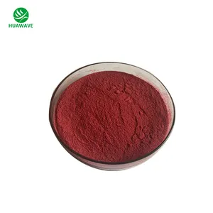 Colorant de qualité alimentaire Offre Spéciale carmin 50% 60% 85% poudre de carmin/carmin rouge de Cochineal