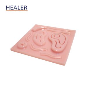 Almohadilla <span class=keywords><strong>de</strong></span> entrenamiento <span class=keywords><strong>de</strong></span> modelo anatómico 3D práctica <span class=keywords><strong>de</strong></span> acero inoxidable <span class=keywords><strong>de</strong></span> silicona con <span class=keywords><strong>heridas</strong></span> para entrenamiento <span class=keywords><strong>de</strong></span> estudiantes <span class=keywords><strong>de</strong></span> medicina - Product Image 3