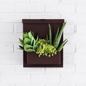 Boîte aux lettres esthétique JH-Mech avec jardinière intégrée Boîte aux lettres murale décorative robuste de style <span class=keywords><strong>vintage</strong></span> rouillée pour l'extérieur - Product Image 4