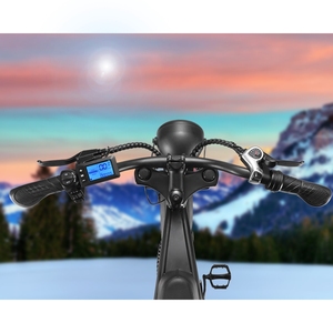 Vélo Hybride pour Adulte, <span class=keywords><strong>20</strong></span> <span class=keywords><strong>Pouces</strong></span>, Gros Pneu, 500/750/48V, Acier, Amovible, pour Adulte - Product Image 3