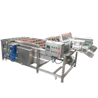 Kleine fruit- en groentewaslijn met bubbelwasser en motor voor citrusverwerkingsbedrijven
