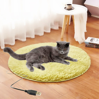 Couverture chauffante électrique pour animaux de compagnie, tapis chauffant en cuir pelucheux USB, écologique, pour chat et chien, tapis chaud à chauffage rapide, toutes saisons