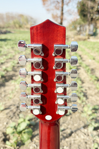 Guitarra electroacústica de 12 cuerdas Aiersi, color rojo brillante, de caoba, con cutaway, para amantes de la música. - Product Image 4