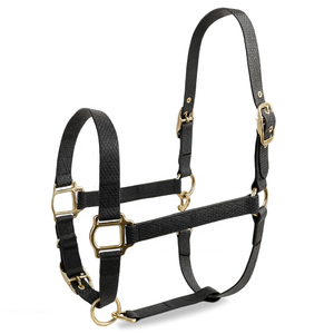 Modè<span class=keywords><strong>les</strong></span> personnalisés et logo Pvc moelleux licou cheval étanche Miniature colliers poneys arabe doux réglable Pvc cheval licous - Product Image 1