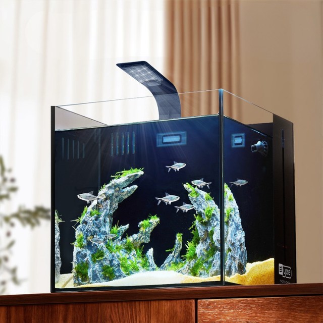 Ultra-white Eco-Friendly Rectangle Glass Aquarium Wall-Mounted Back Filter Energy-Saving Fish Tank for Living Room Outdoor Use