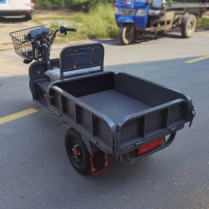 Tricycle à plateau longue portée pour charges lourdes et usage industriel HSK-DQT800, conception robuste conçue pour les travaux agricoles et de construction exigeants - Product Image 1