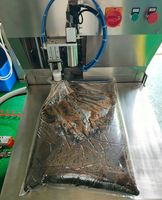 Machine de remplissage BIB haute précision pour sachets liquides, ensacheuse aseptique Bag-in-Box pour sirops, jus et lait, remplisseuse BIB avec purge au gaz nitrogène