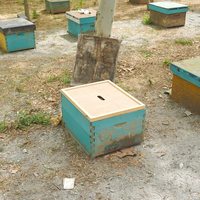 Accessoires de ruche d'apiculture 10 cadres Langstroth couvercle intérieur de ruche couvercle de boîte de ruche
