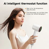 Nouveauté 1600W BLDC moteur AI détection intelligente professionnel sèche-cheveux électrique diffuseur haute vitesse souffleur de cheveux hôtels