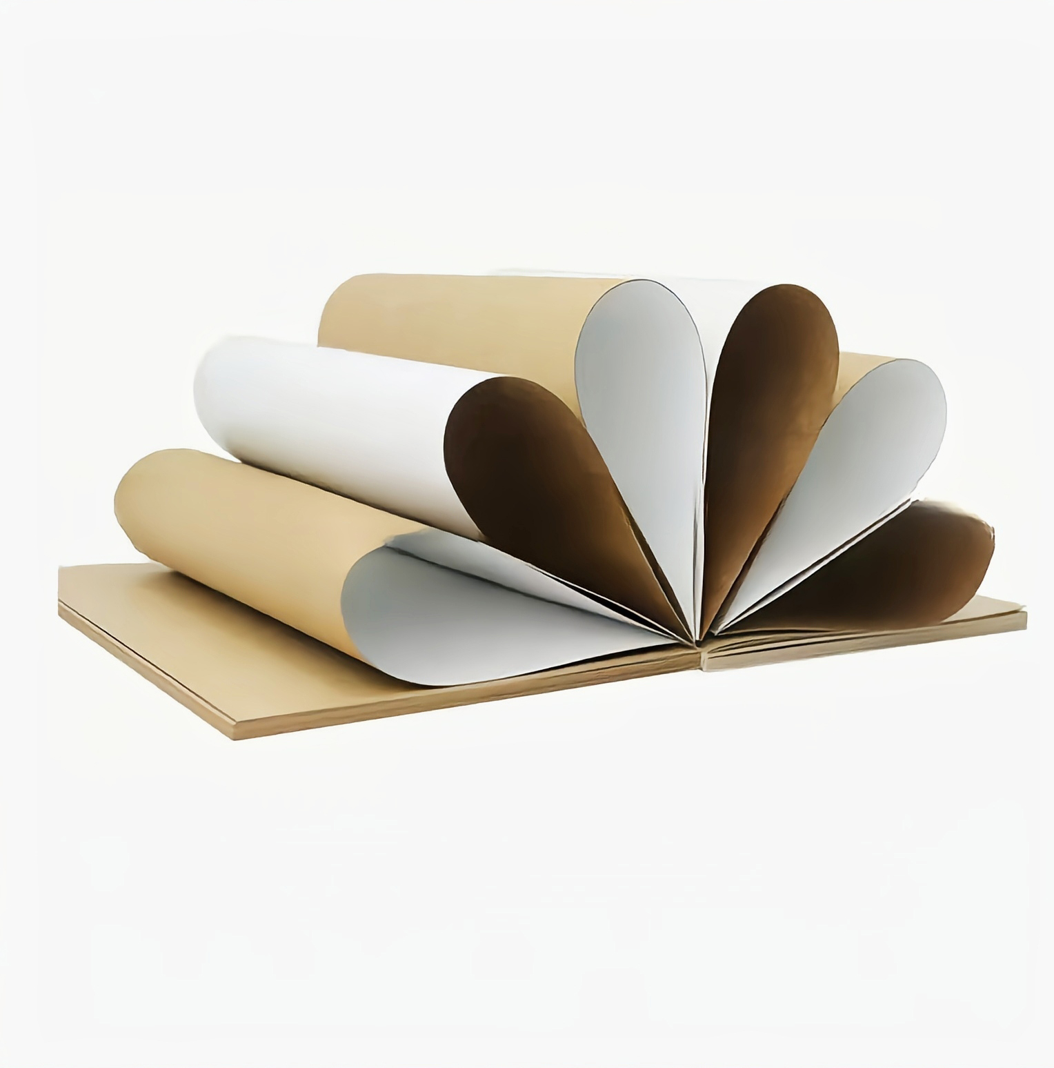 High Quality Single PE Coated Kraft Paper Roll Printed White and Brown 160/190/210/280/300/320gsm Brown and White Cardboard
