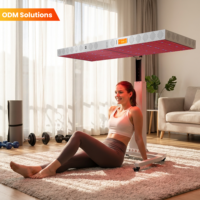 Panneau de luminothérapie rouge pleine longueur OEM ODM 660nm/850nm/1060nm à 9 longueurs d'onde avec prise US