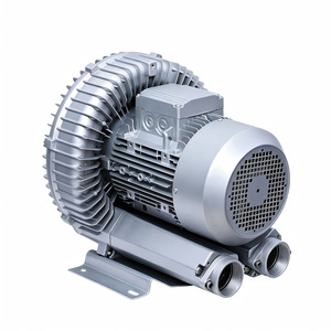 Souffleur à anneau vortex sans huile, faible bruit, haute pression, électrique à courant continu, à rotor externe, en acier inoxydable, aérateur OEM pour poissons et crevettes - Product Image 1