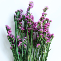 Fournisseur Direct Usine : Fleurs Éternelles Préservées, Statice 'Ne Me Quitte Pas' pour la Saint-Valentin, Décoration de Mariage, Tiges en Gros pour Vase
