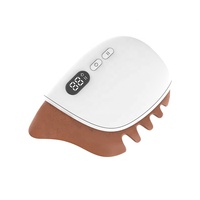 EBSM6 Ensemble de rouleaux de jade pour le visage, outils de soin de la peau électriques avec logo personnalisé, outil de massage par la chaleur par LED pour mincir le visage
