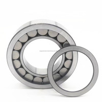 Roulements à rouleaux cylindriques à une rangée F-207407 F-207407.NUP 65x120x33mm pour pompe hydraulique Rexroth A11V260 A11V250