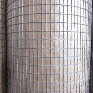 Verzinkt geschweißt wire <span class=keywords><strong>mesh</strong></span>/hund <span class=keywords><strong>mesh</strong></span> - Product Image 3