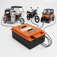 48V 60V 72V LiFePO4 Battery Pack Sl-6001 for Electric Scooter Motorcycle E-bike Tricycle BMS 3000-Cycle -20~+45 Max Load 6