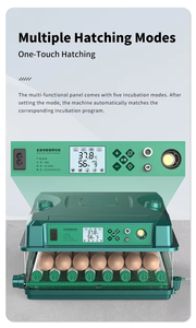 Incubateur à <span class=keywords><strong>Oeufs</strong></span> de Canard Neuf à <span class=keywords><strong>Prix</strong></span> Bas, 200 <span class=keywords><strong>Oeufs</strong></span>, Retournement Automatique, Taux <span class=keywords><strong>d</strong></span>'Éclosion Élevé, Taille Moyenne - Product Image 3