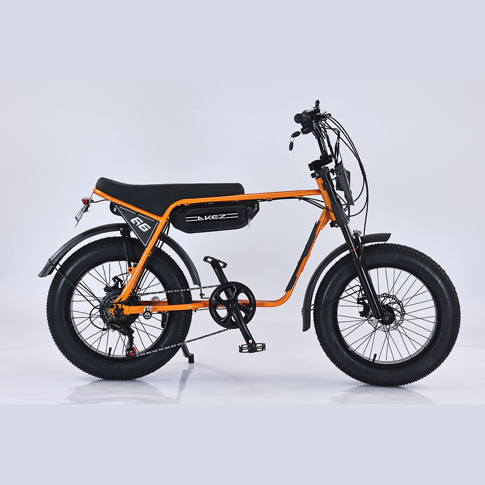 2025 ZX 20 Inch E-Bike - 48V 750W/1500W Electric Bicycle