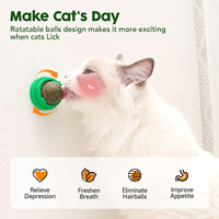 Vente en gros d'usine : Nouveaux jouets à mâcher pour chats, boules énergétiques saines pour le nettoyage des dents et la santé bucco-dentaire des chats