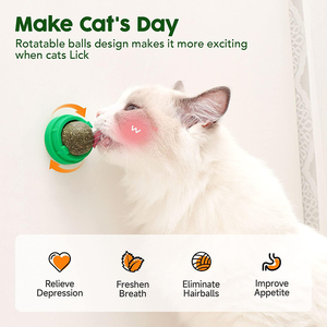 Phổ Biến Vật Nuôi Nguồn Cung Cấp Mèo Năng Lượng Bóng Khỏe Mạnh Kitty Răng Làm Sạch Nha Khoa Chew Đồ Chơi Cho Mèo Liếm - Product Image 3