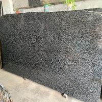 Dalles de granit naturel Newstar Stone, prix d'usine, granit noir coupé sur mesure pour comptoir