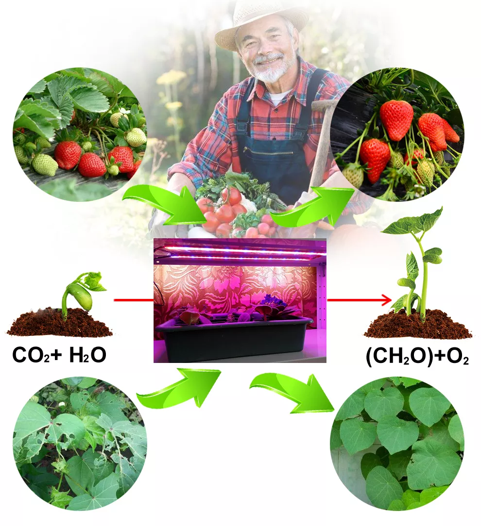 Full Spectrum Greenhouse Hydroponic Led Rigid Strip Red+blue+white 50cm Led Grow Light bar