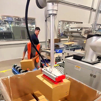 Palettiseur collaboratif 30 kg, bras robotisé 6 axes, empilage automatique de sacs et de boîtes pour les applications dans les lignes d'alimentation, de boissons et d'emballage