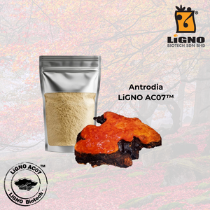สารสกัดแอนโตรเดีย แคมฟอร์าต้า LiGNO AC07 สำหรับผลิตภัณฑ์เพื่อสุขภาพ รับผลิตแบบ OEM ODM ได้รับการรับรองฮาลาลและโคเชอร์ - Product Image 1