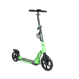 230Mm 2 Big Wheel Volwassen Opvouwbare Kick Scooter Met Dubbele Vering