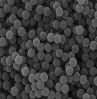Adsorbant polymère à capture directe d'air (DAC) à haute efficacité pour l'élimination et la séquestration du carbone