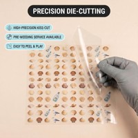 Kit d'autocollants 3D personnalisés en PET haute transparence pour paysages de plage et de surf, anti-stress, DIY