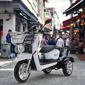 Vélo électrique à emporter Peaks 4000W 72V Deliveryman Tricycle Cargo - Product Image 6