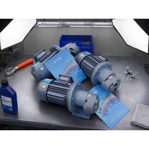 Xin Fei Zahnradpumpen-Motoreinheit aus Gusseisen, CB-B Serie Hydraulikpumpe für Werkzeugmaschinen-Schmierung - Product Image 2