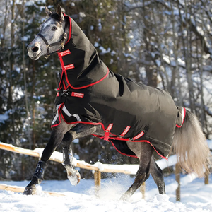 Lightweight Winter Stable <b>Sheet</b> Horse Rug Standard Neck Waterproof Breathable Equestrian Blanket with 2 Adjustable Leg Straps - Product Image 4