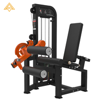 Machine Commerciale de Flexion et de Curl des Jambes en Acier pour Salle de Sport et Fitness