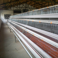 Cage à poules pondeuses de type A, cage à batterie galvanisée pour poules pondeuses, équipement d'élevage avicole, cage à poules automatique
