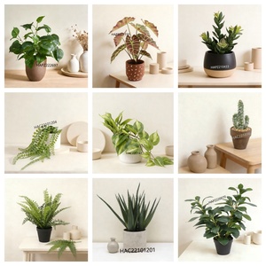 Hongo de Hortensias Artificiales Realistas |   Lobularia <span class=keywords><strong>Maritima</strong></span> Mixta en Maceta de Cerámica con Acabado Esmaltado para Decoración de Interiores de Oficinas y Hogares - Product Image 6