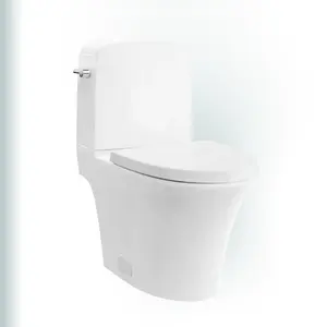 BAILU A-654H ADA MAP Siphonic Toilette en deux pièces Économique Confortable Articles sanitaires russes Ensemble de toilette allongé