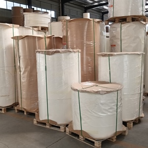 Hard And Stiff Excellent Quality Custom Orders Accepted Can Be Cut To Any Width You Require <b>Paper</b> Cup Bottom Roll - Product Image 6