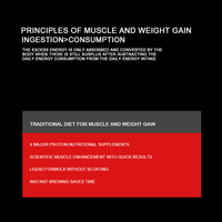 Poudre de Protéine de Lactosérum à Haute Teneur, OEM et Personnalisation du Logo, Complément Protéique Musculaire et Nutritionnel pour l'Immunité