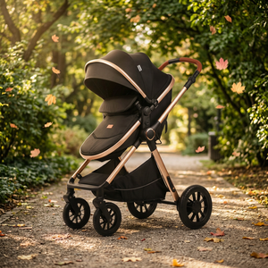 Poussette bébé à poignée réversible et position haute, roues en caoutchouc anti-crevaison, absorption des chocs, grand landau souple, cadre en aluminium - Product Image 3
