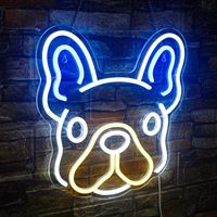 Lumières néon flexibles étanches pour discothèque avec corps de lampe en acrylique étanche, indice de protection IP65, CRI95, 6000K lumière du jour, dimmable