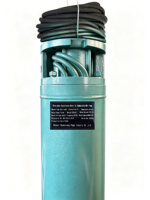 Pompe submersible pour puits profond en fonte multi-étages pour l'irrigation des cultures, l'arrosage des jardins et l'alimentation en eau des forages