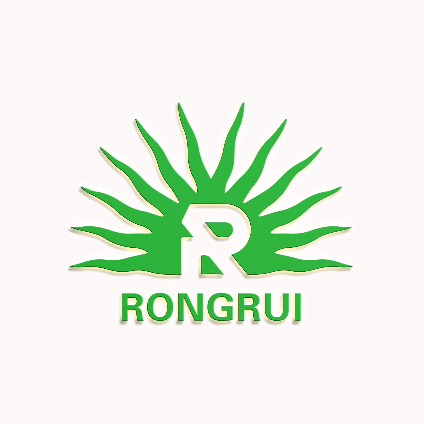 Zhongshan Rongrui Technology Co., Ltd. logo