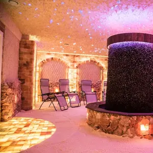 Tüm boyutları özelleştirilmiş kristal kaya himalaya pembe duvar tuz tuğla tabaklar blok Halo terapi Sauna tuz odası dekor için
